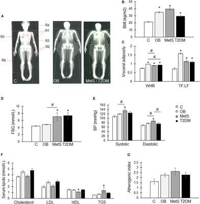 Systemic Factors During Metabolic Disease Progression Contribute to the Functional Decline of Adipose Tissue-Derived Mesenchymal Stem Cells in Reproductive Aged Females